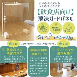 パーティション 日本製 透明 軽量 アクリル 仕切り 板 ウイルス 対策 対面 飛沫 防止 ガード パネル S サイズ 42 33 Cm レギュラー 送料無料 代引不可 Bestvaluestyle Paypayモール店 通販 Paypayモール