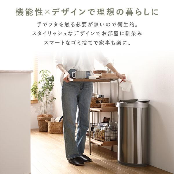 ゴミ箱 ダストボックス 約幅42cm 47L 大容量 横開き ステンレス ゴミ箱 ダストボックス 約幅42cm 47L 大容量 横開き ステンレス