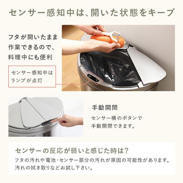 ゴミ箱 ダストボックス 約幅42cm 47L 大容量 横開き ステンレス ゴミ箱 ダストボックス 約幅42cm 47L 大容量 横開き ステンレス