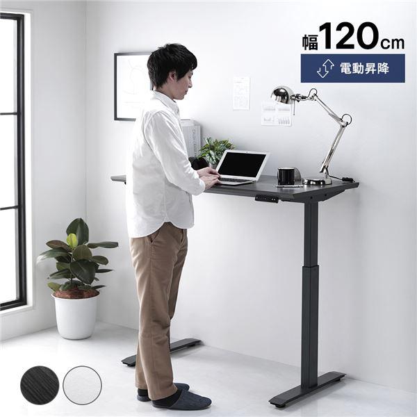 昇降 デスク 幅120cm 電動 高さ調整可 メモリー機能付き 組立品 昇降式 