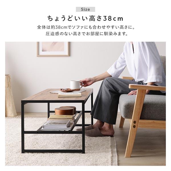 RASIK（ラシク） ローテーブル 単品 幅105cm 収納棚付き スチール