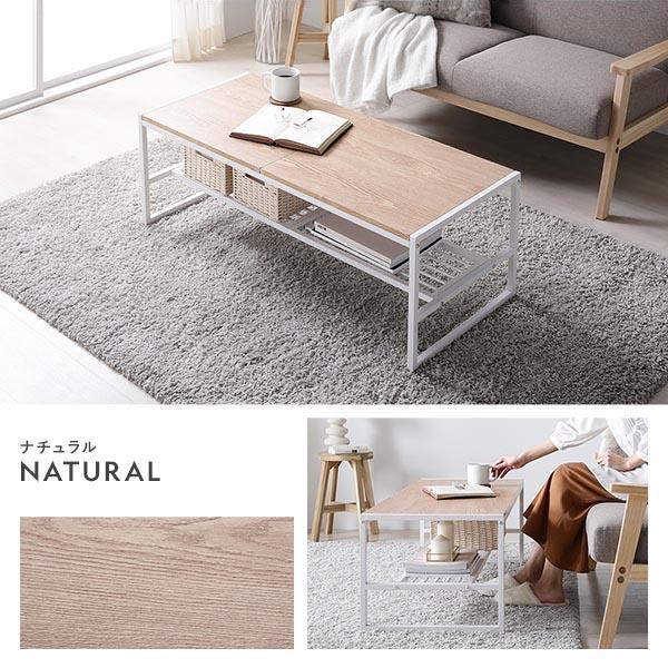 RASIK（ラシク） ローテーブル 単品 幅105cm 収納棚付き スチール