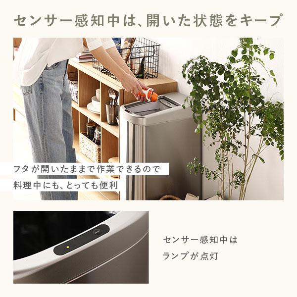 ゴミ箱 ダストボックス 約幅25cm 50L 大容量 シャッター開き