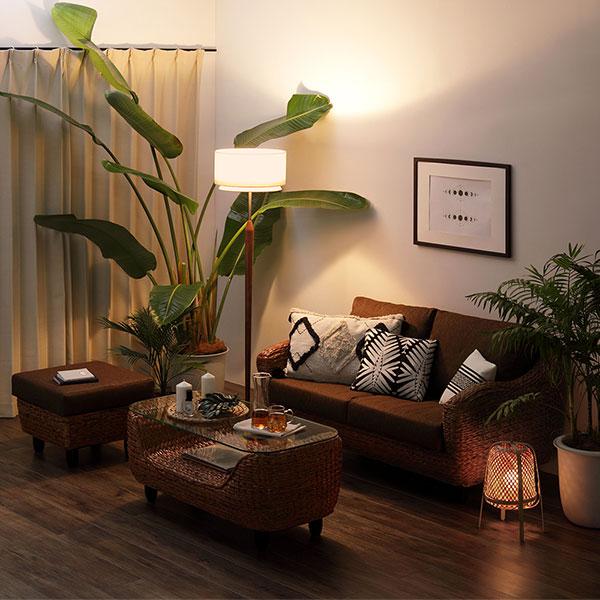 開梱組立設置サービス付き〕 インテリア家具 3点セット 2人掛けソファ