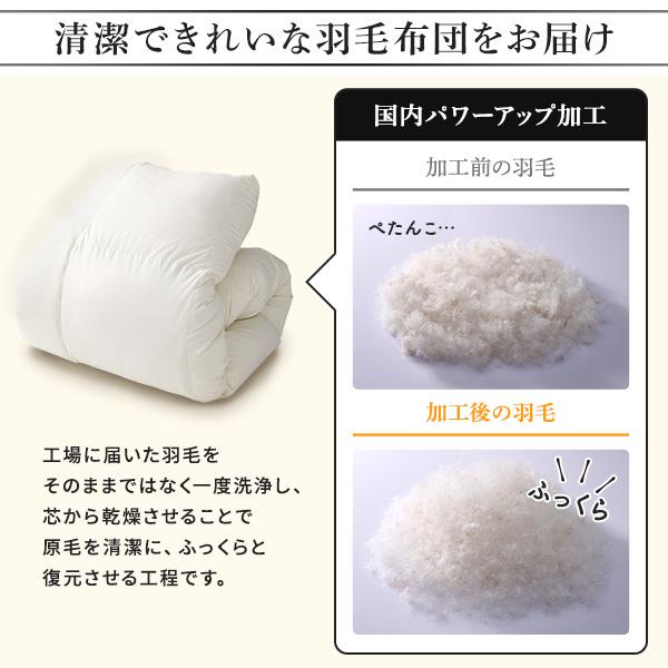 羽毛布団 掛け布団 ダブル ダウン70％ 300dp パワーアップ加工 日本製
