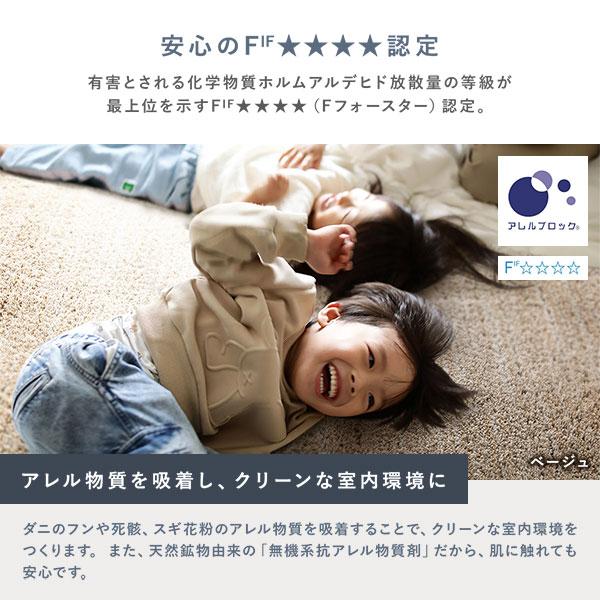 ミックスパイル ラグ 約190×240cm 洗える 日本製 国産 軽量 防ダニ