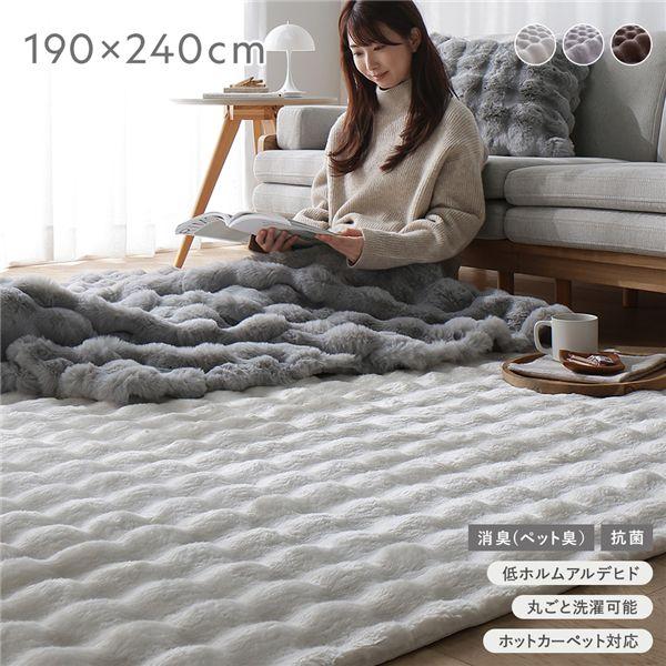 RASIK（ラシク） ふわもこ ラグ 約190×240cm 洗える 抗菌 消臭 ペット