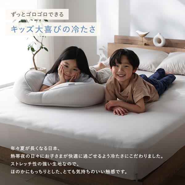 RASIK（ラシク） 冷感 肌掛け布団 単品 シングル 洗える 抗菌 消臭性