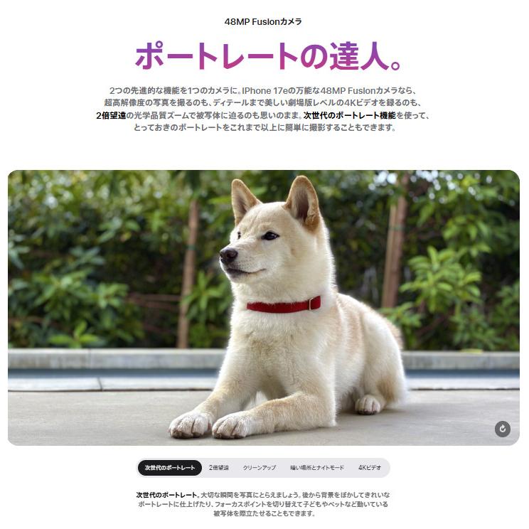 Apple 【国内版SIMフリー・新品未開封】 iPhone17e 256GB ホワイト