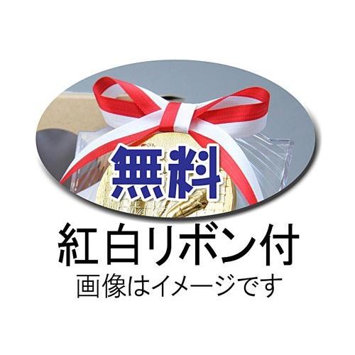 盾【文字無料】高さ140ｍｍ人気！カラー表彰楯 盾.表彰.優勝カップ　トロフィー　記念　卒業記念品　功労　殊勲　技能　退職　永年　記念　D033- Ｉ｜best｜03