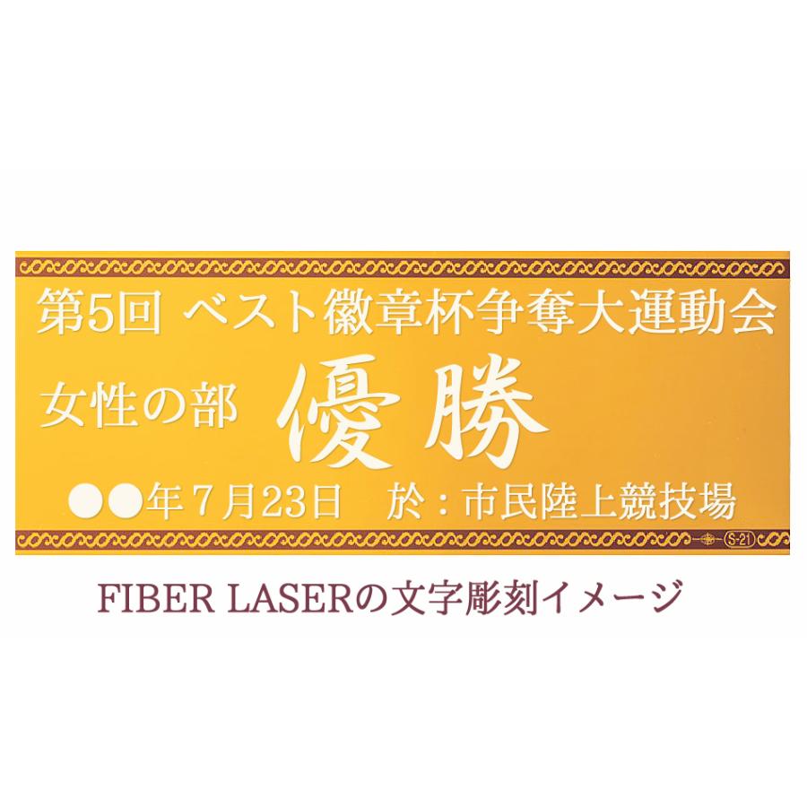 表彰盾　高さ430ｍｍ　送料無料＆文字無料　記念表彰楯　ゴルフ　野球　サッカー　バスケ　バレーボール　グラウンドゴルフ　相撲　柔道　剣道　空手　D004-Ｍ｜best｜05