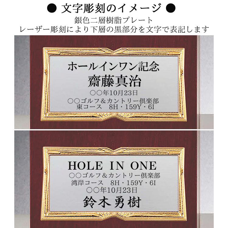 ホールインワン 高さ275ｍｍ 記念品 トロフィー 送料無料・文字無料　ゴルフ　ホールインワン　バーディ　イーグル　アルバトロス　ベストグロス　F-BT3545-B｜best｜04