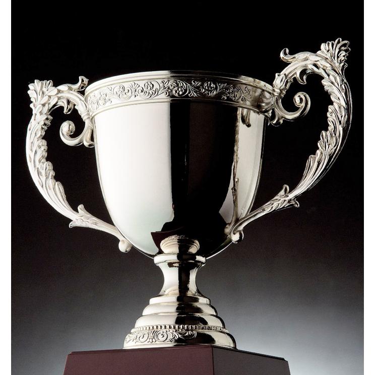 優勝カップ【文字無料】 送料無料 金属製 高さ245mm 銀色 (シルバー