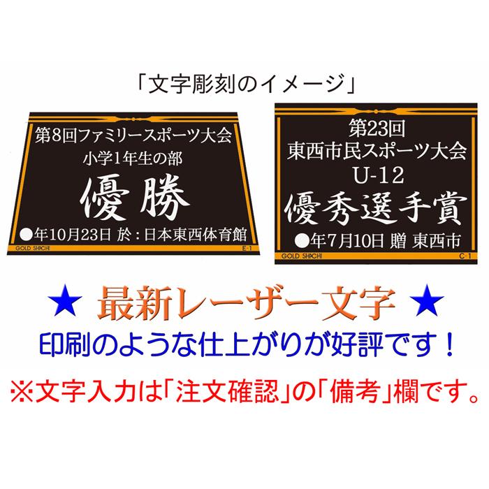 優勝カップ 文字無料  高さ170mm 30％OFF 優勝カップ 盾 トロフィー 優勝カップ ゴルフ トロフィー 野球 サッカー 相撲 柔道 剣道 ボウリング GOLD K-AG9690-C｜best｜06