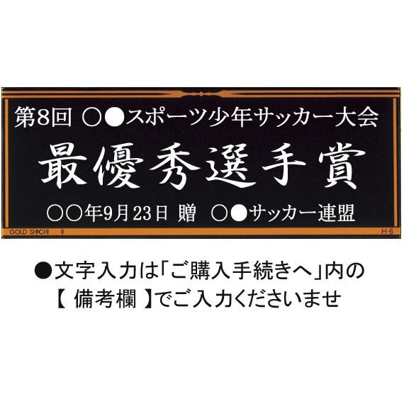 トロフィー　サッカー　20％引　180ｍｍ　文字無料　フットサル　フットボール　リフティング　アシスト　ハットトリック　K-BV4436-ＧSＢ　サッカー｜best｜08