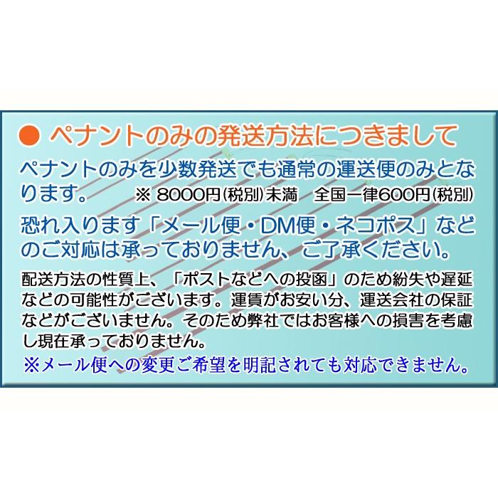 【優勝ペナント】 （無地）優勝者ペナント（リボン）●サイズ300mm（３０ｃｍ）｜best｜02