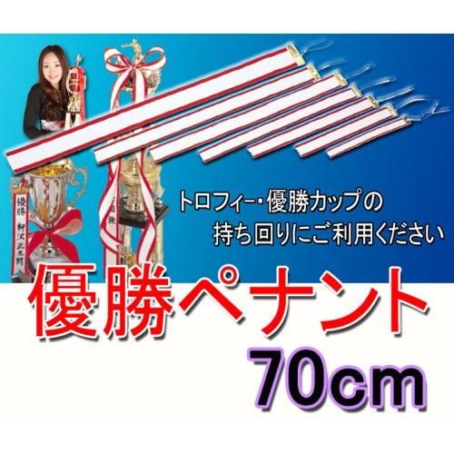 ペナント（無地）優勝者リボン 50mm×700mm（70cm） : トロフィー 