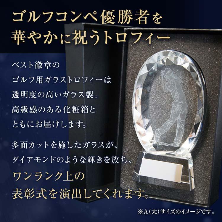 トロフィー ゴルフ　文字無料【30％OFF】ガラス　高さ105ｍｍ　盾　ホールインワン ゴルフトロフィー 優勝 楯 ベストグロス賞 ドラコン ニアピン S-810-C/小｜best｜03