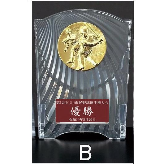 盾 文字無料 高さ160mm 盾 優勝カップ トロフィー 記念 卒業 盾 文字無料 高さ160mm 盾 優勝カップ トロフィー 記念 卒業