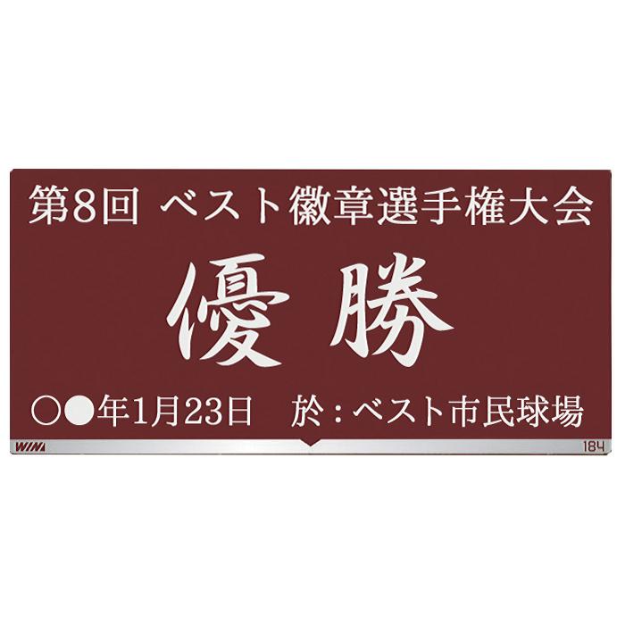 サッカー盾　高さ180ｍｍ【文字無料】楯 （樹脂）トロフィー　リフティング　最優秀　ゴール　アシスト　ヘディング　ハットトリック　サッカー　W-CBL5569-17-A｜best｜04