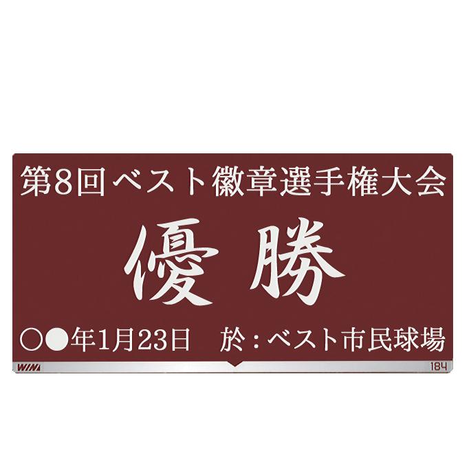 優勝カップ【文字無料】【樹脂製】お手ごろ！優勝カップ FC125-Ｂサイズ●高さ210mm（CUP/トロフィー/優勝カップ/ゴルフ｜best｜05