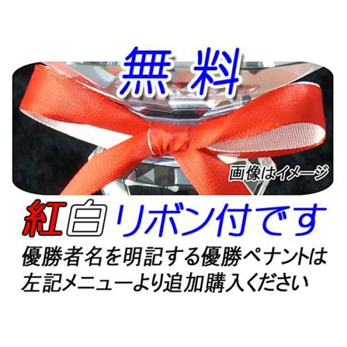優勝カップ【送料無料＆文字無料】お得な優勝カップ W-LSS391-Aサイズ●高さ365ｍｍの画像