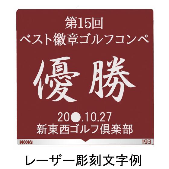 トロフィー　送料無料＆文字彫刻無料　高さ250ｍｍ　ゴルフトロフィー　 トロフィー ゴルフ　ホールインワン　コンペ景品　ニアピン　ベストグロス賞 W-VC3513-A_3