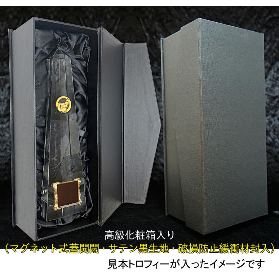 トロフィー　送料無料＆文字彫刻無料　高さ250ｍｍ　ゴルフトロフィー　 トロフィー ゴルフ　ホールインワン　コンペ景品　ニアピン　ベストグロス賞 W-VC3513-A_5