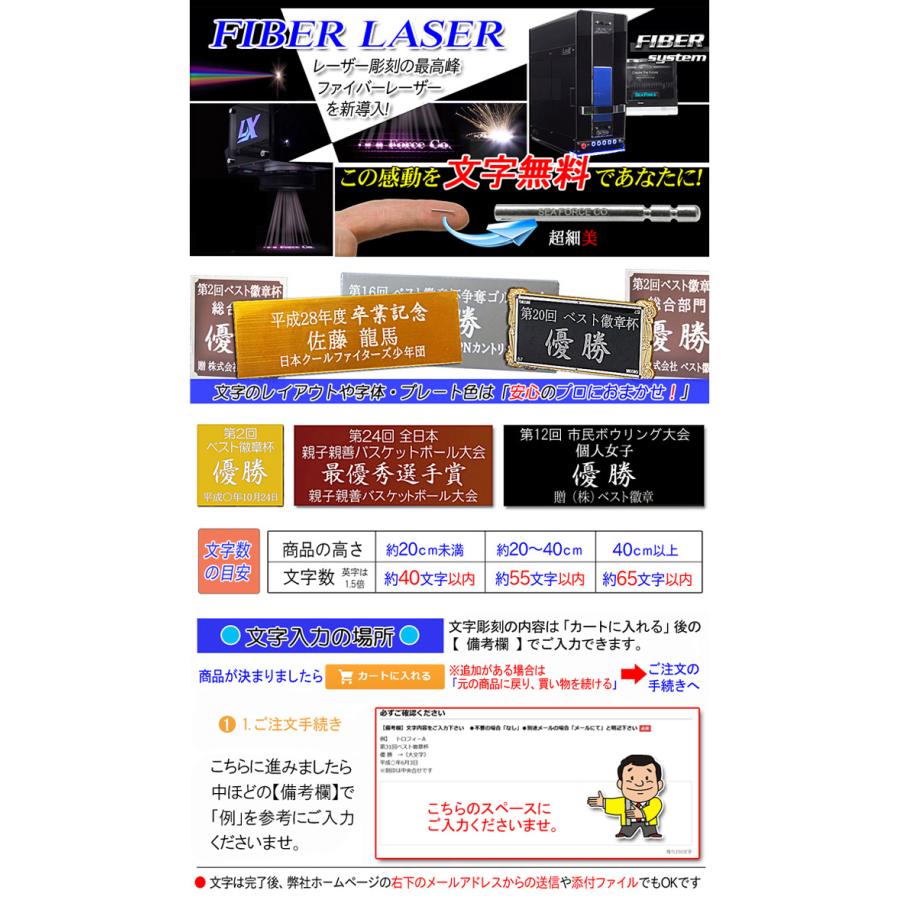 トロフィー.ゴルフ【文字彫刻無料】人気のトロフィー W-VC4564-Bサイズ