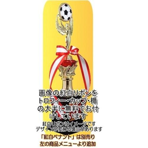 サッカー・トロフィー【送料無料/文字無料】トロフィー フットボール W