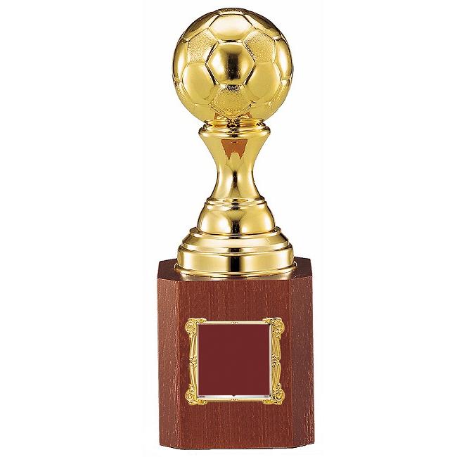 サッカー・トロフィー高さ255mm 10％OFF【文字無料】サッカー