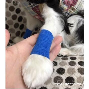 犬 猫 ペット用 バンテージ 24個セット 粘着包帯 Strap Band ストラップバンド 3サイズ 4色 毛にからまない 粘着テープ 排泄 床ずれ 怪我予防 ペット テーピング 3072box 医療 介護用品の専門店 Bestaid 通販 Yahoo ショッピング