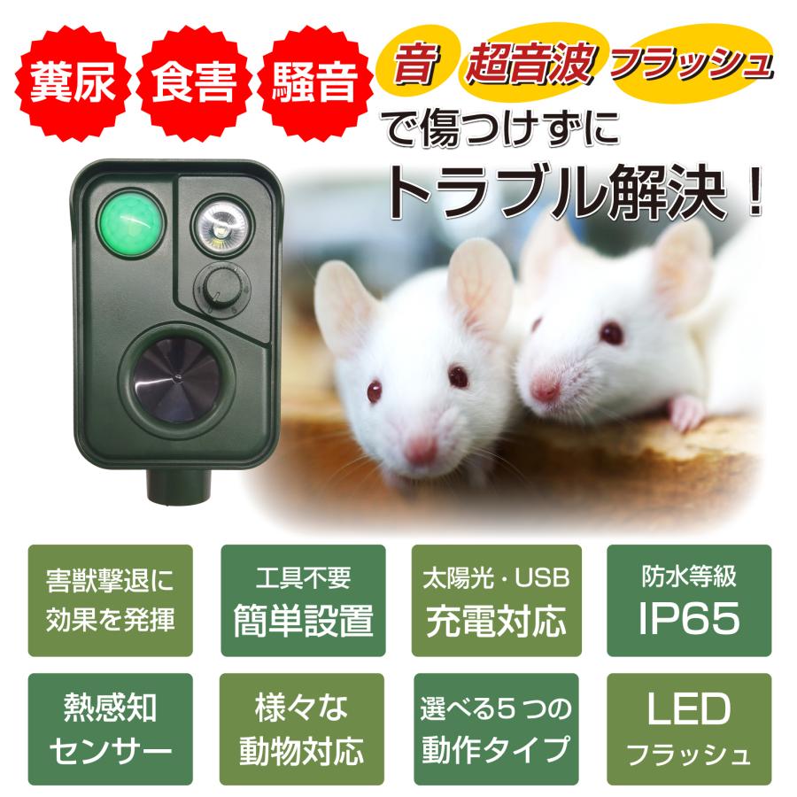 4台セット 猫よけ 猫よけ対策 最強 庭 駐車場 撃退 イノシシ ハクビシン 害獣 超音波 カラス 犬 野良猫 音声 フラッシュ ソーラー充電 USB充電 法人  爆買_2