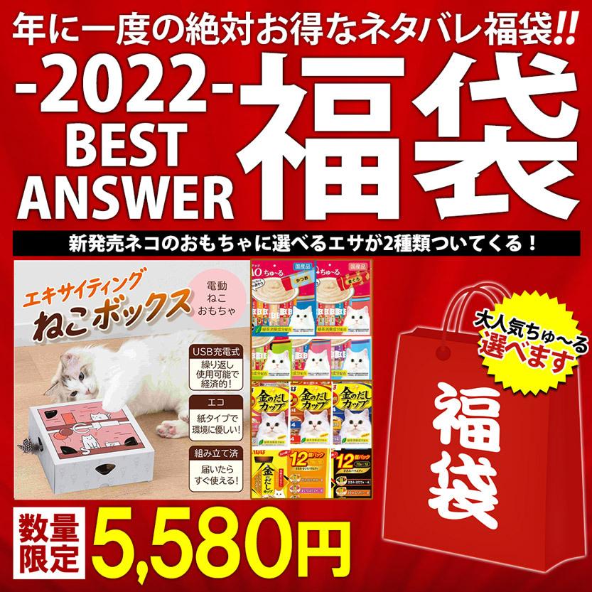 ネタバレ 福袋 カー用品福袋 3点封入 数量限定 ドライブレコーダー 前後 録画 カーバイザー ハンディクリーナー 車載用 掃除機 送料無料 ベスト アンサーの宝paypayモール店 通販 Paypayモール