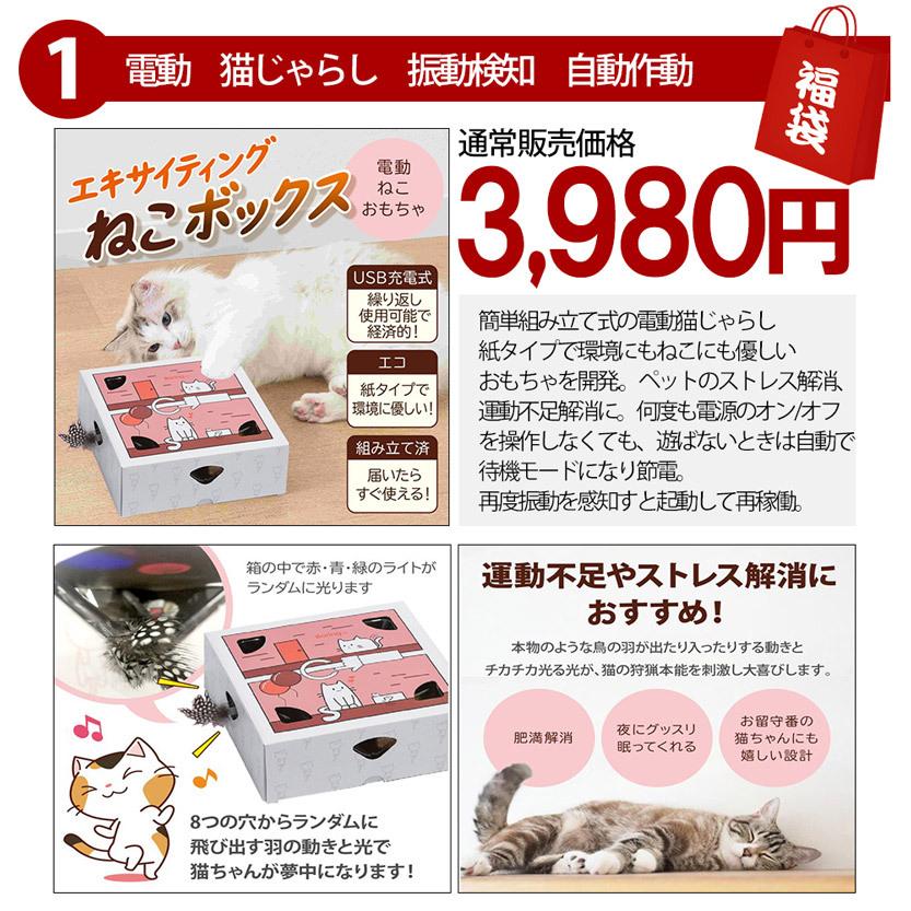 ネタバレ 福袋 カー用品福袋 3点封入 数量限定 ドライブレコーダー 前後 録画 カーバイザー ハンディクリーナー 車載用 掃除機 ベストアンサーの宝ショップ 通販 Paypayモール