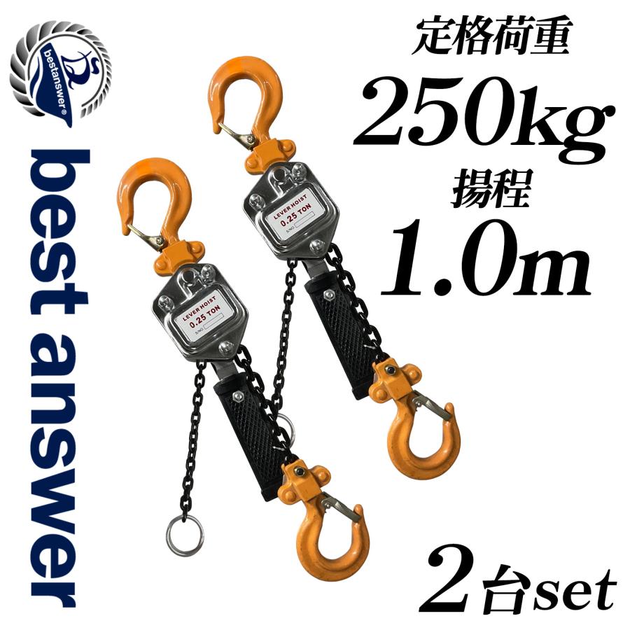 Bestanswer（ベストアンサー） レバーホイスト 250kg 0.25t V2 2台 