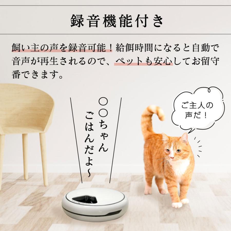 【新品未開封】犬猫の自動給餌器 pet-028 自動給餌器 給餌器 猫 自動 タイマー 電池 USB 4回分 給餌機 犬 餌やり