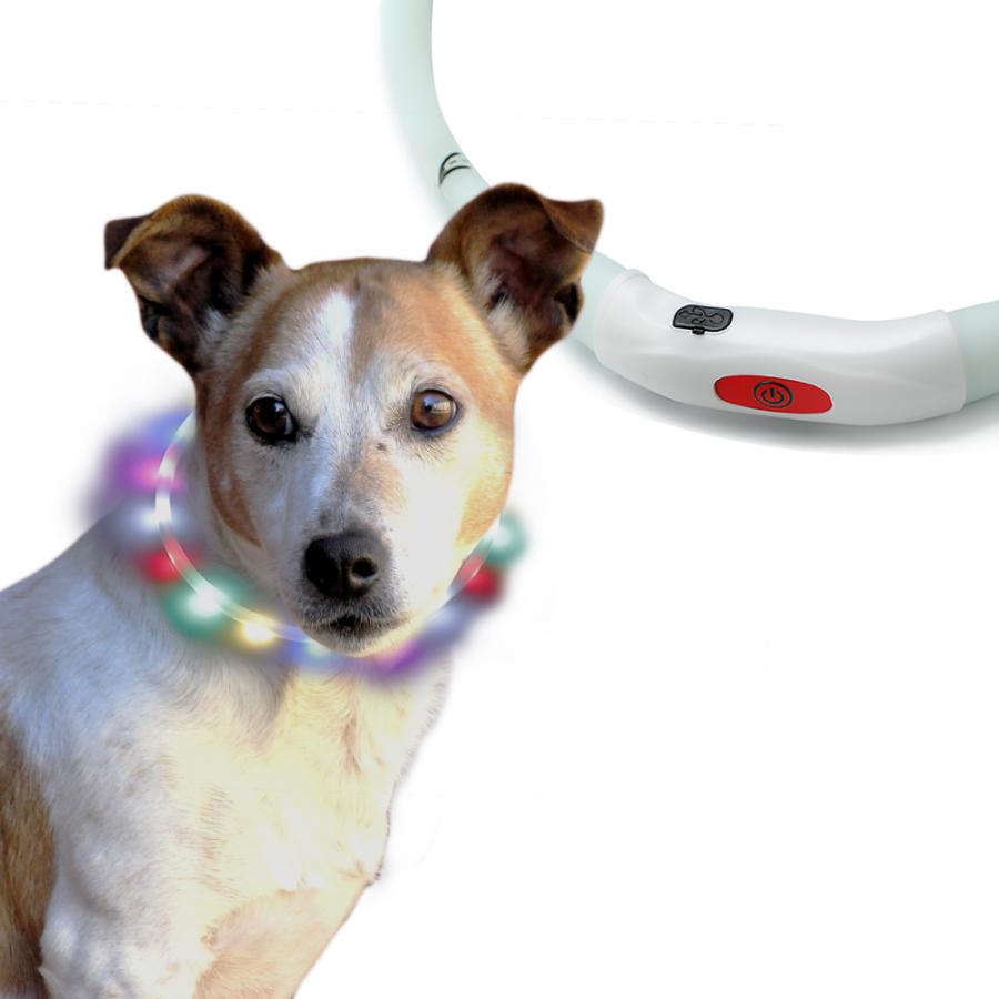 2本セット首輪 光る led ライト 犬 レインボー 夜間 発光 充電式 散歩
