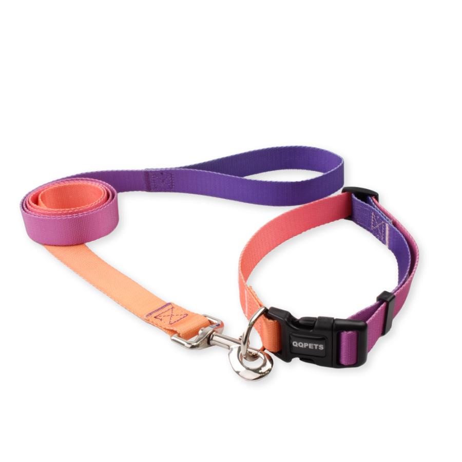 犬 リード 首輪 セット犬用 リード かわいい 小型犬 中型犬 散歩 猫 Xs S パープル ピンク イエロー 黄色 紫 送料無料 ゆうパケット Pet 064 ベストアンサーの宝ショップ 通販 Yahoo ショッピング