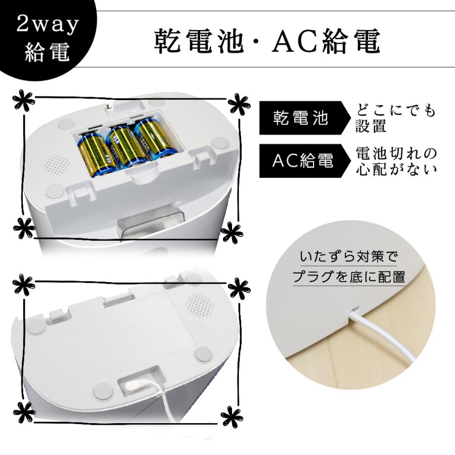 自動給餌器 給餌器 猫 犬 イヌ ネコ 自動餌やり器 ドライフード 専用