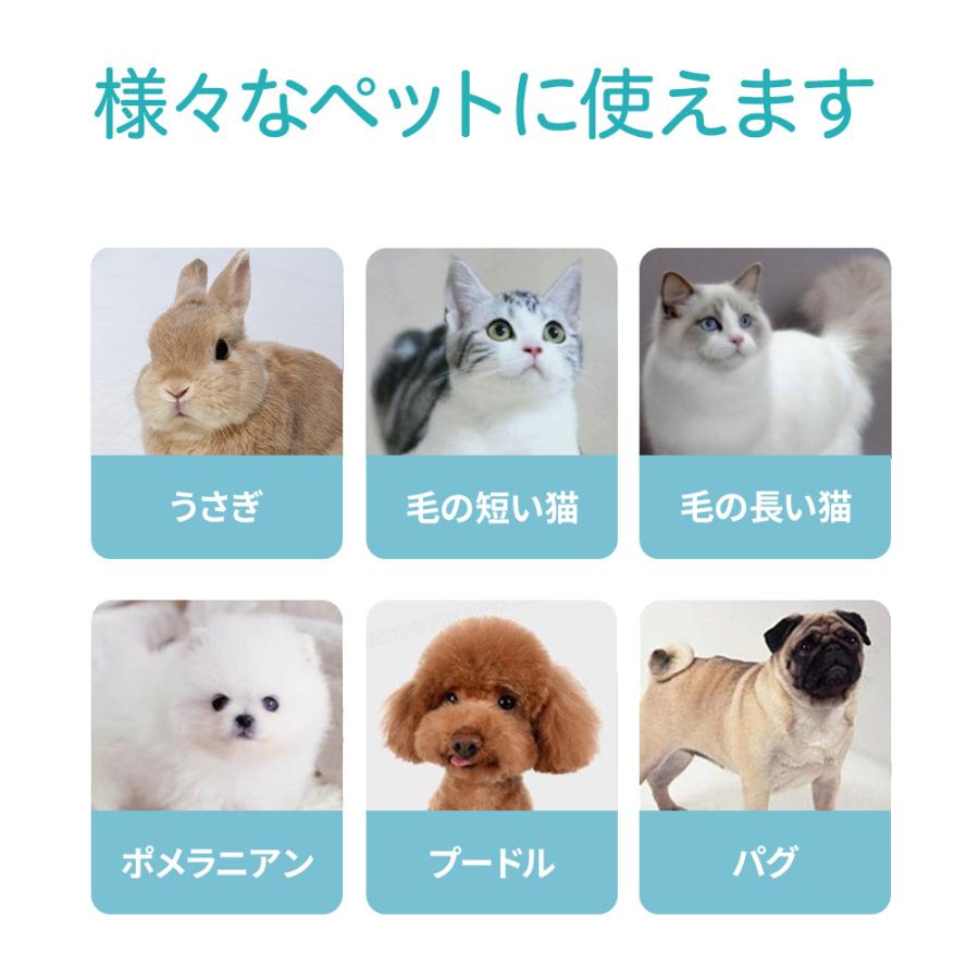 今だけ19800円!】 ペットドライヤー ハウス ボックス 猫用 小型 今だけ19800円!】 ペットドライヤー ハウス ボックス 猫用 小型
