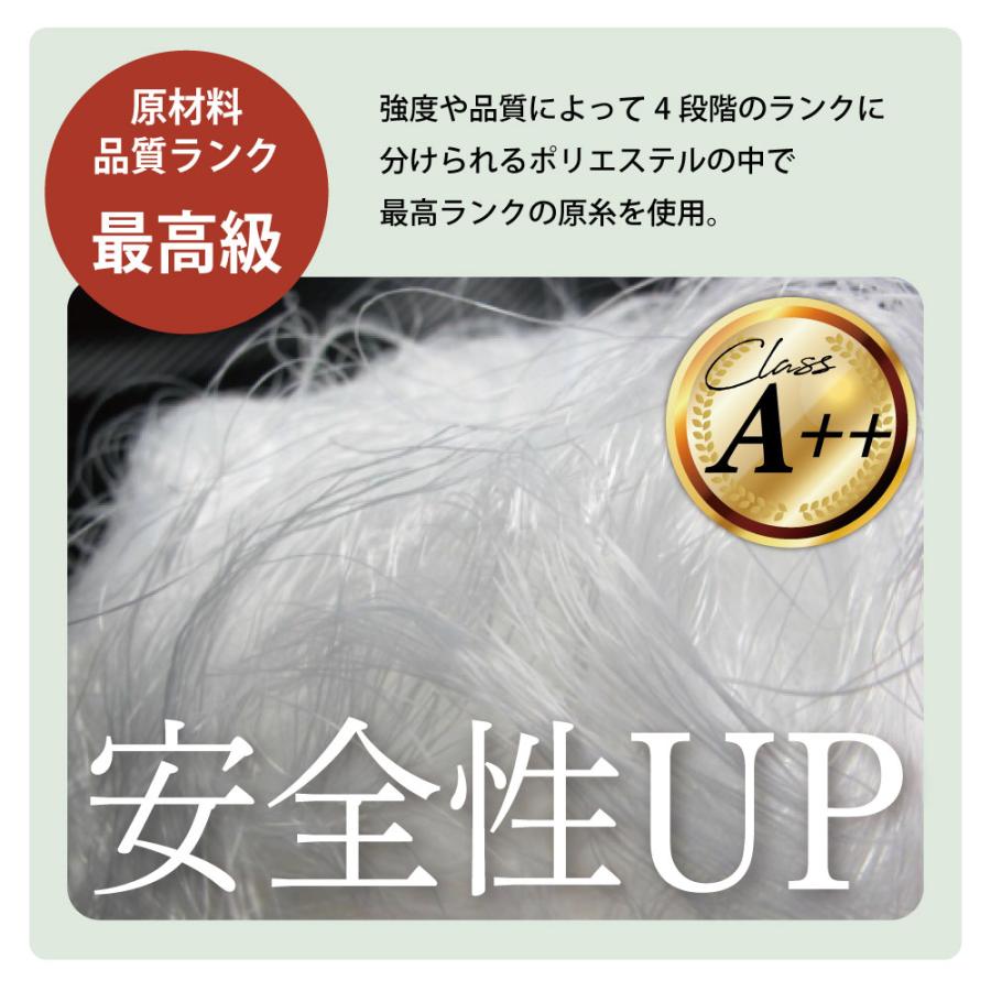 10本セット ラッシングベルト 50mm レール 固定側0.5m 巻側5m