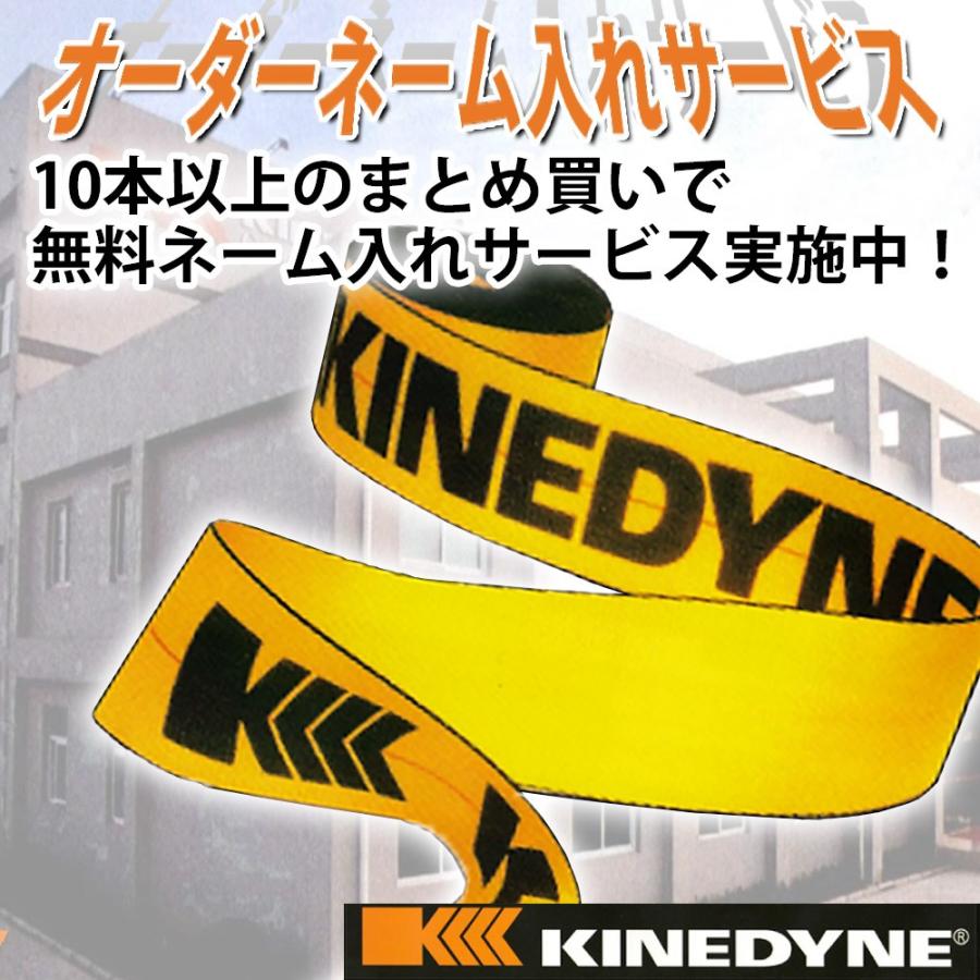 ラッシングベルト キネダイン 50mm レールフック 10本 固定側1m 巻側7m