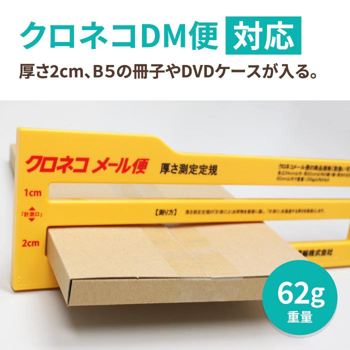 ネコポス　ダンボール　段ボール箱　B5　200枚　(0123)　厚さ2.5cm