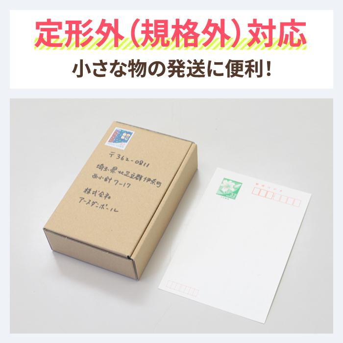 アースダンボール 定形外郵便 箱 ダンボール ダンボール箱 小型 発送