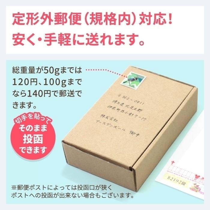 アースダンボール 定形外郵便 箱 ダンボール ダンボール箱 小型 2cm厚