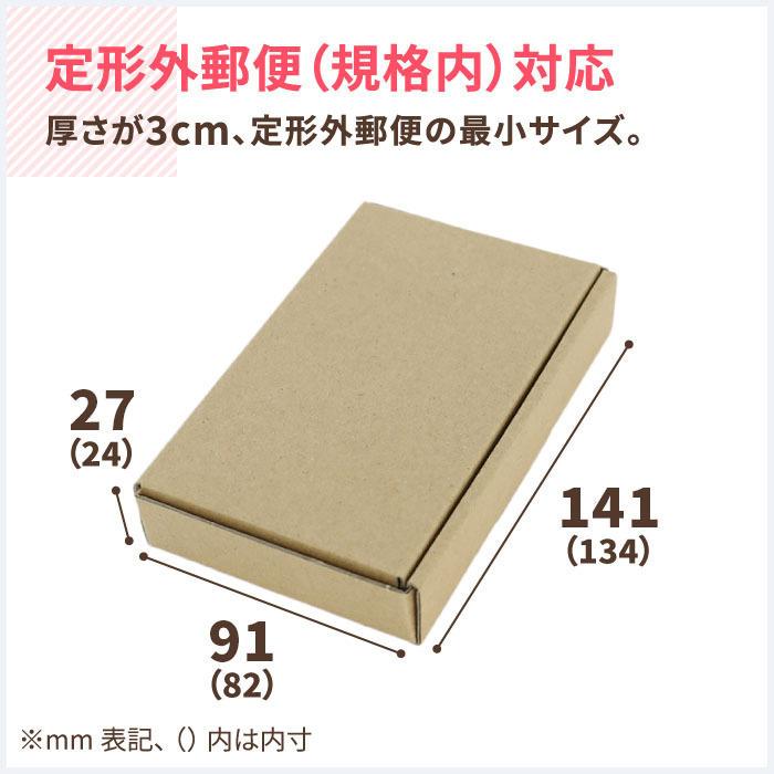 アースダンボール 定形外郵便 箱 ダンボール ダンボール箱 小型 規格内
