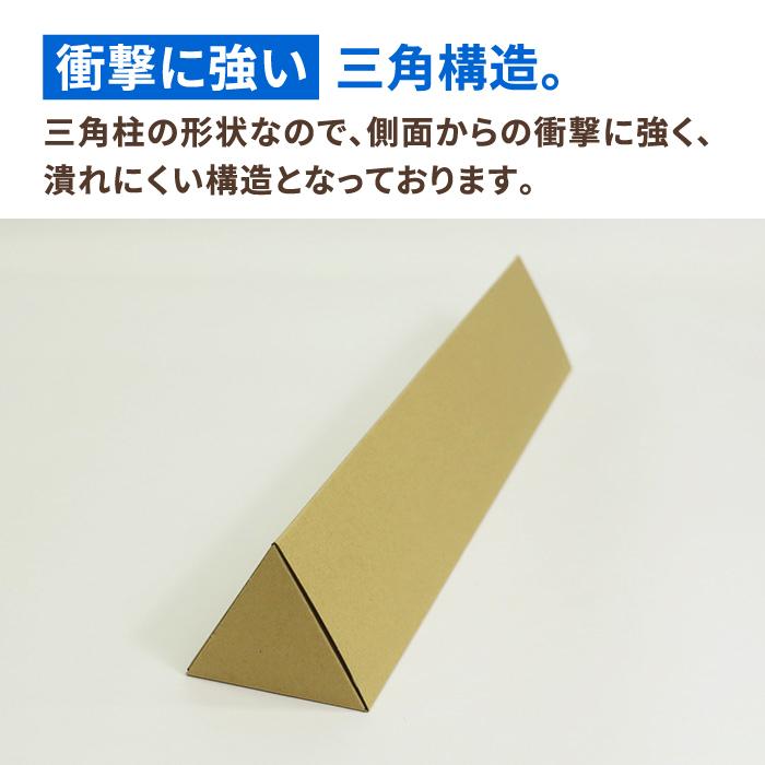 アースダンボール ダンボール 段ボール箱 ポスター 80サイズ B2 収納