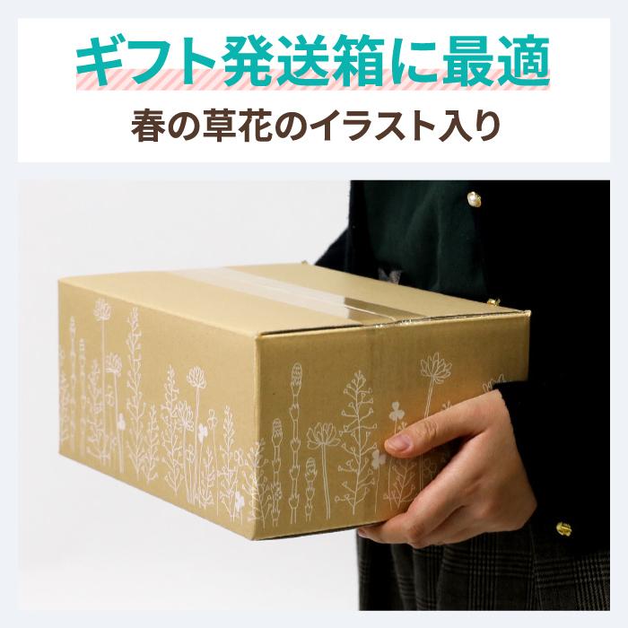 ダンボール 段ボール箱 60サイズ B5 宅配 発送 ギフト 50枚 |264×194×114mm(0415) :1041504:アースダンボールYahoo!店 - 通販 - Yahoo!ショッピング ダンボール 段ボール箱 60サイズ B5 宅配 発送 ギフト 50枚 |264×194×114mm(0415) :1041504:アースダンボールYahoo!店 - 通販 - Yahoo!ショッピング