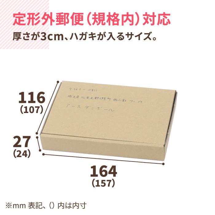 アースダンボール ダンボール 段ボール箱 小型 ハガキ 定形外郵便 規格